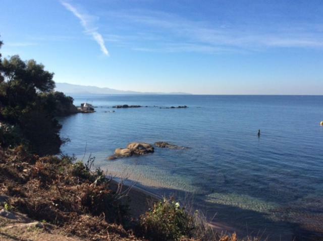 D'exception, Piscine, Vue Mer, A 100m Ajaccio (Corsica)