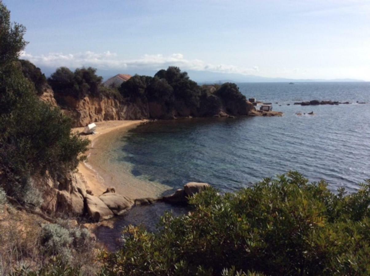 D'exception, Piscine, Vue Mer, A 100m * Ajaccio (Corsica)